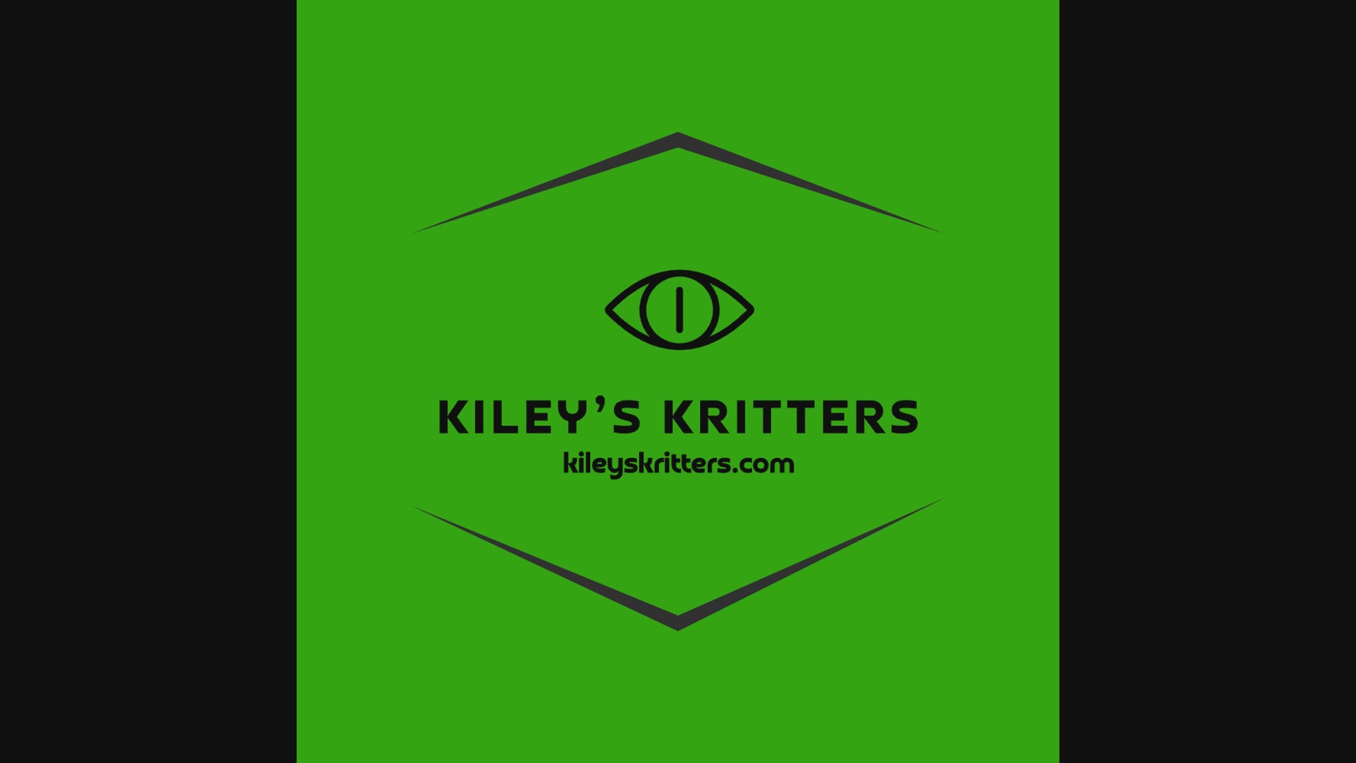Kileys Kritters live small snake hide for baby hognose snake.